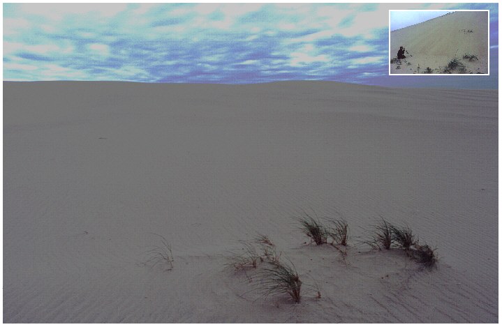 Kurische Nehrung - "Europäische" Sahara