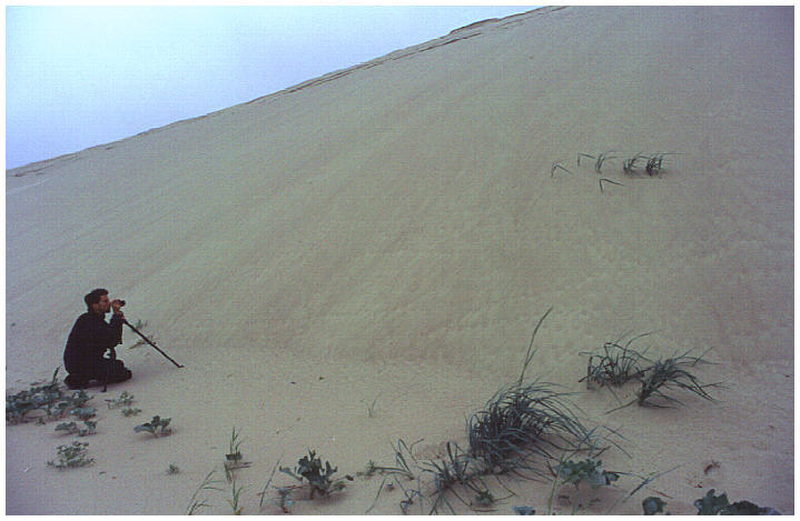"Europäische" Sahara