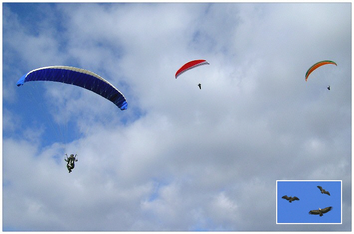 Fluggebiet Montellano