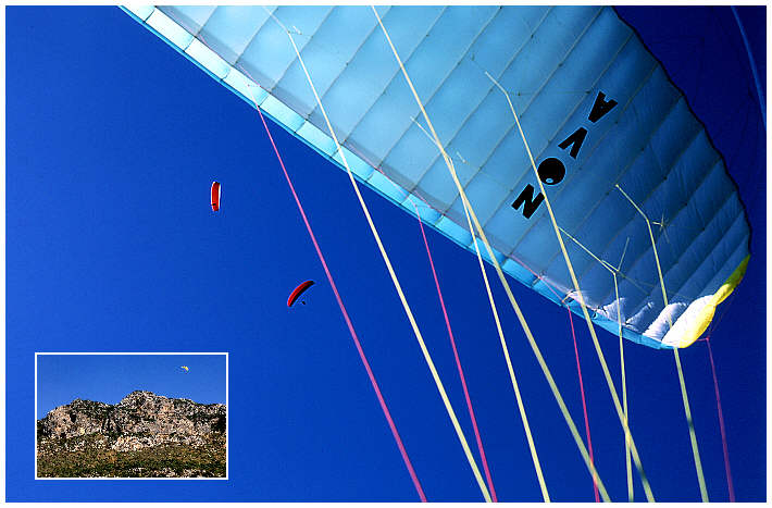 Fly in the sky