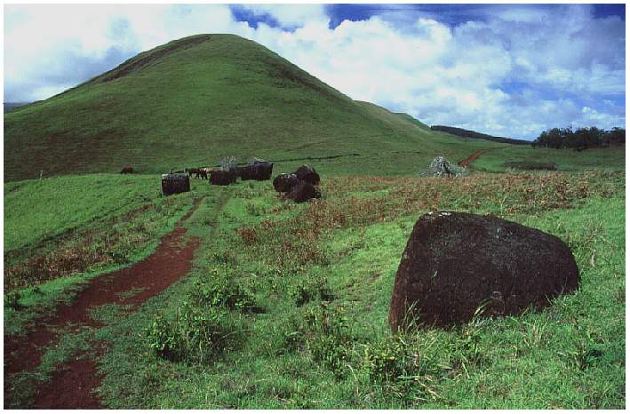 Liegengebliebene Pukaos