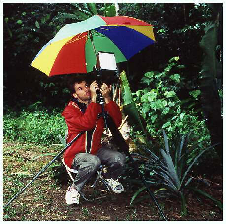 Wo bleibt nur der Tayra ?